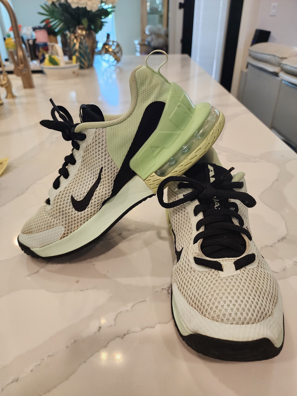 Men's Nike Air Max Alpha Trainer 6 training shoes in a "Barely Green"